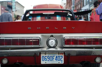 back of car with license plate